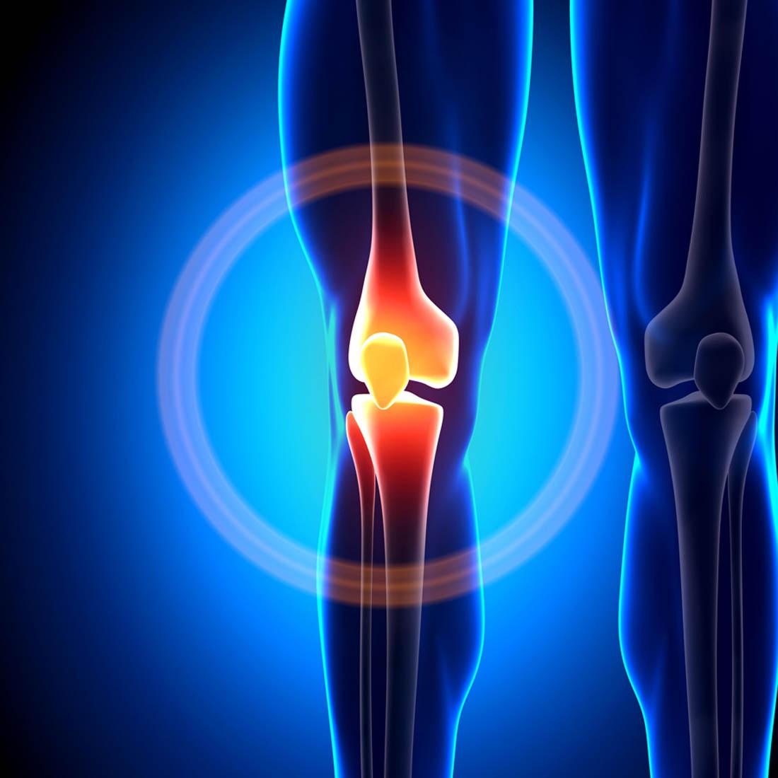 Bone and Joint shree laboratory jamnagar