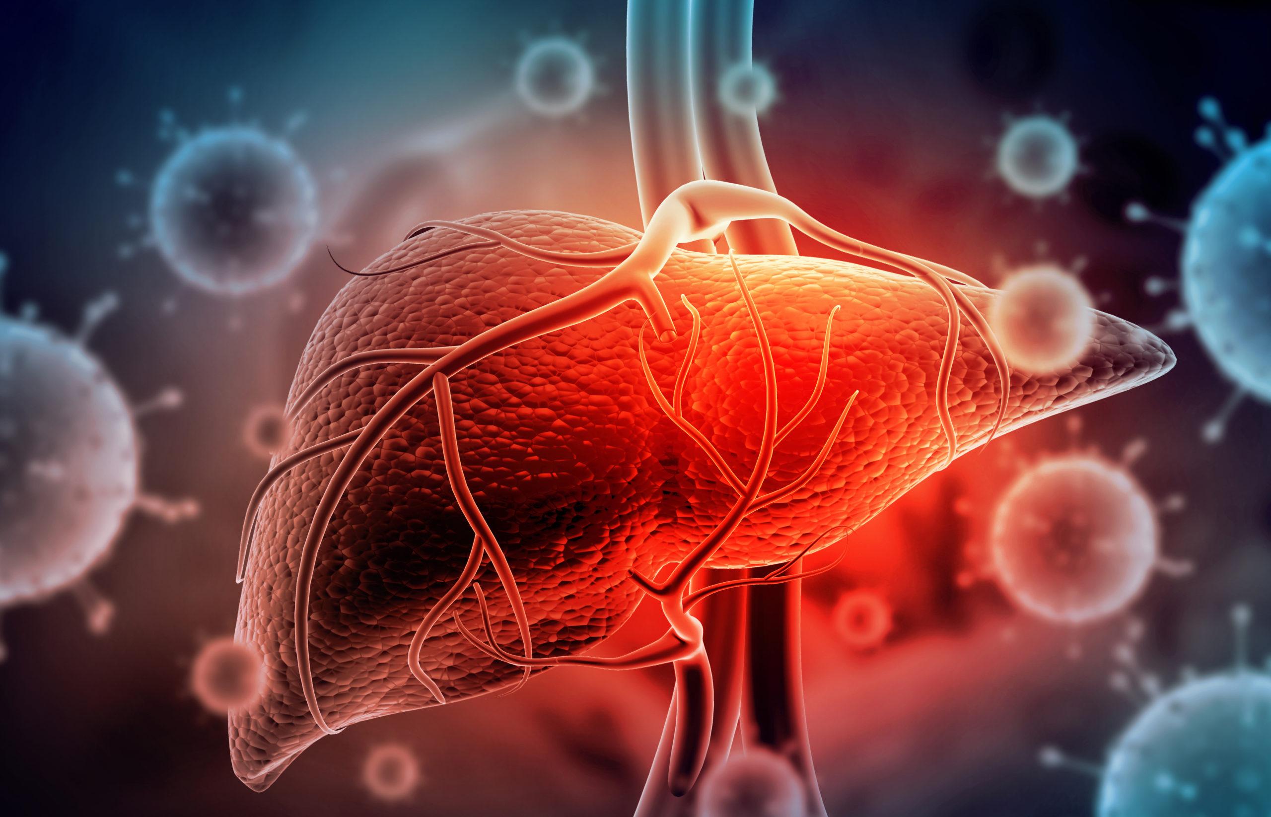 Hepatitis shree laboratory jamnagar