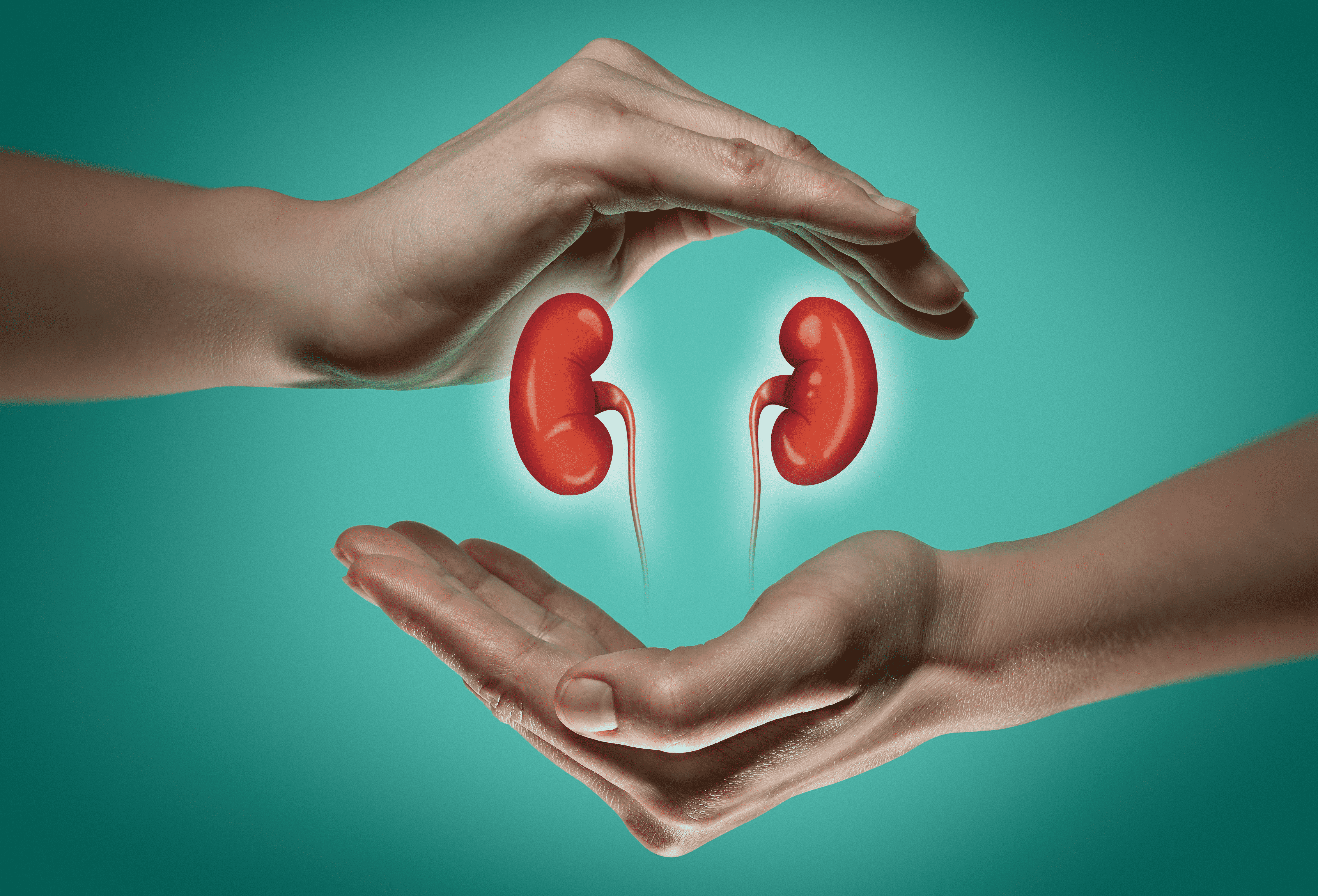 Kidney shree laboratory jamnagar