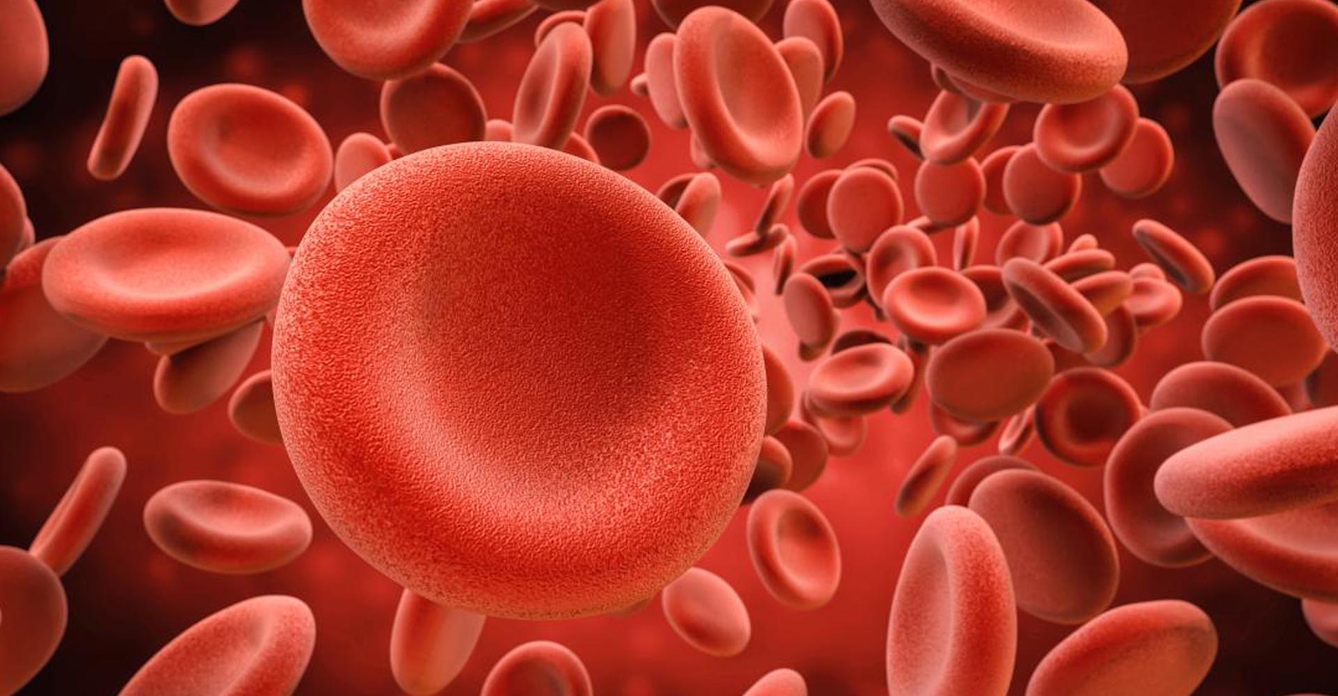 Thrombophilia Profile Test shree laboratory jamnagar