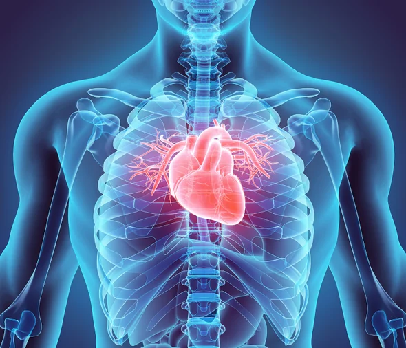 heart shree laboratory jamnagar