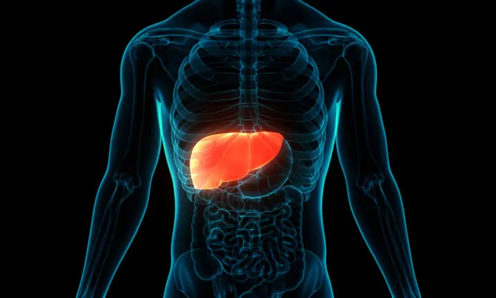 liver shree lab jamnagar