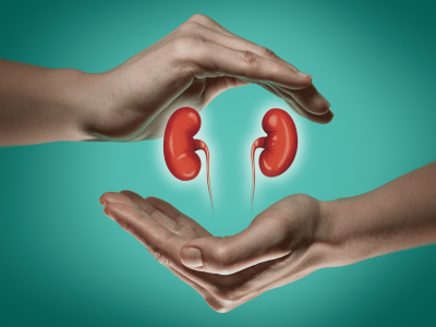 Kidney shree laboratory jamnagar