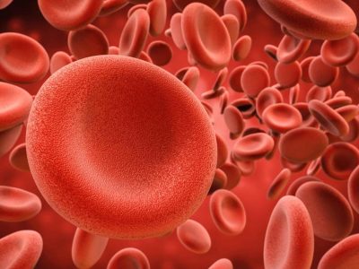 Thrombophilia Profile Test shree laboratory jamnagar
