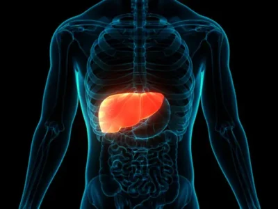 liver shree lab jamnagar
